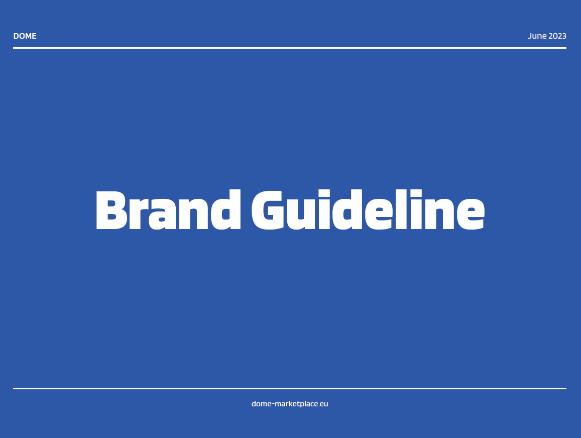 The title Brand Guideline on a blue background
